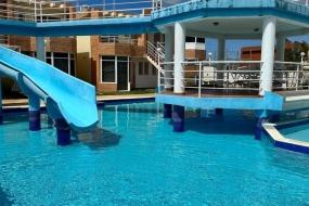 Mantarraya 1C